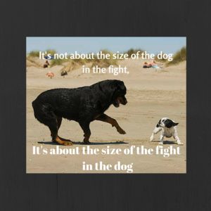 It's not about the size of the dog in the fight,