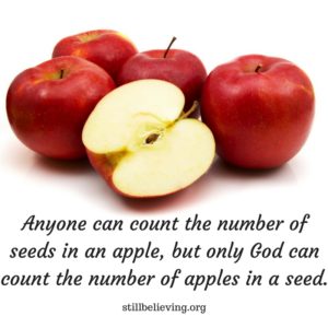 anyone-can-count-the-number-of-seeds-in-an-applebut-only-god-can-count-the-number-of-apples-in-a-seed